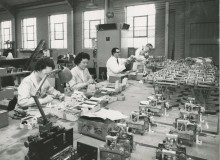 Torbal Production Line